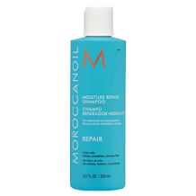 Moroccanoil champú hidratante