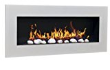 InterWorld 24 chimenea de etanol