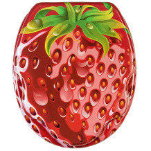 Sanilo asiento del inodoro