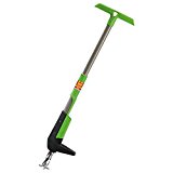 Freund Victoria 1990610