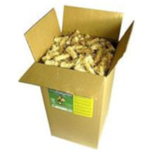 FENIKS pastilla de encendido