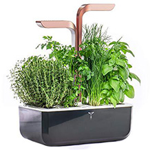 Véritable indoor garden