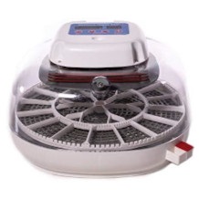 HARRIS FARMS incubadora