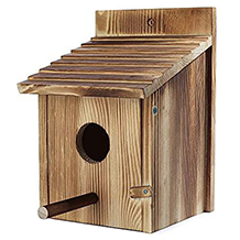 szm casa para pájaros