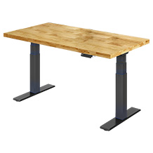 Flexispot E200