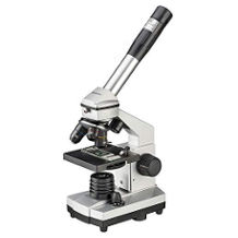 microscopio