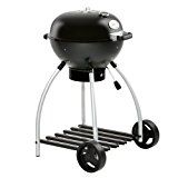 Parrillada y barbacoa