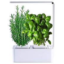 smart garden