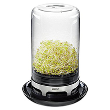 tarro de germinar