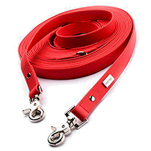 Productos para perros